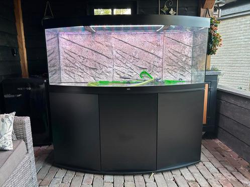 Juwel Vision 450 - Netjes en compleet, Dieren en Toebehoren, Vissen | Aquaria en Toebehoren, Gebruikt, Leeg aquarium, Ophalen