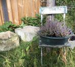 OUDE KOPEREN SCHAAL, Ophalen, Gebruikt, Minder dan 30 cm, Rond