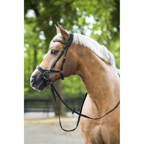 Horsegear anatomisch hoofdstel maat full, Dieren en Toebehoren, Paarden en Pony's | Hoofdstellen en Tuigage, Zo goed als nieuw