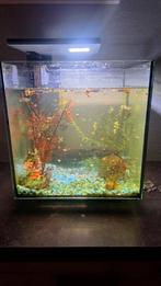 Vierkant aquarium inclusief toebehoren, Dieren en Toebehoren, Vissen | Aquaria en Toebehoren, Ophalen, Zo goed als nieuw, Leeg aquarium