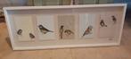 Olunda schilderij vogels, Huis en Inrichting, Woonaccessoires | Schilderijen, Tekeningen en Foto's, Ophalen, Minder dan 50 cm