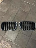 Originele BMW X3 Nieren G01 (2021), Gebruikt, Voor, Ophalen of Verzenden, Bumper