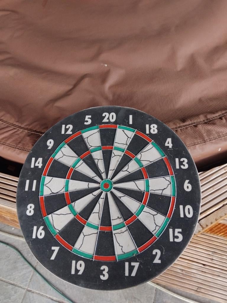 Dartbord - Amper gebruikt, Ophalen of Verzenden, Zo goed als nieuw, Dartbord