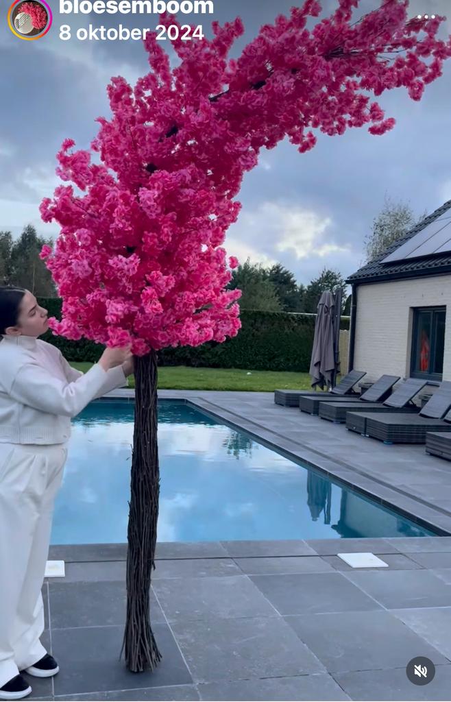 Bloesemboom, Huis en Inrichting, Woonaccessoires | Kunstplanten en Kunstbloemen, Nieuw, Ophalen