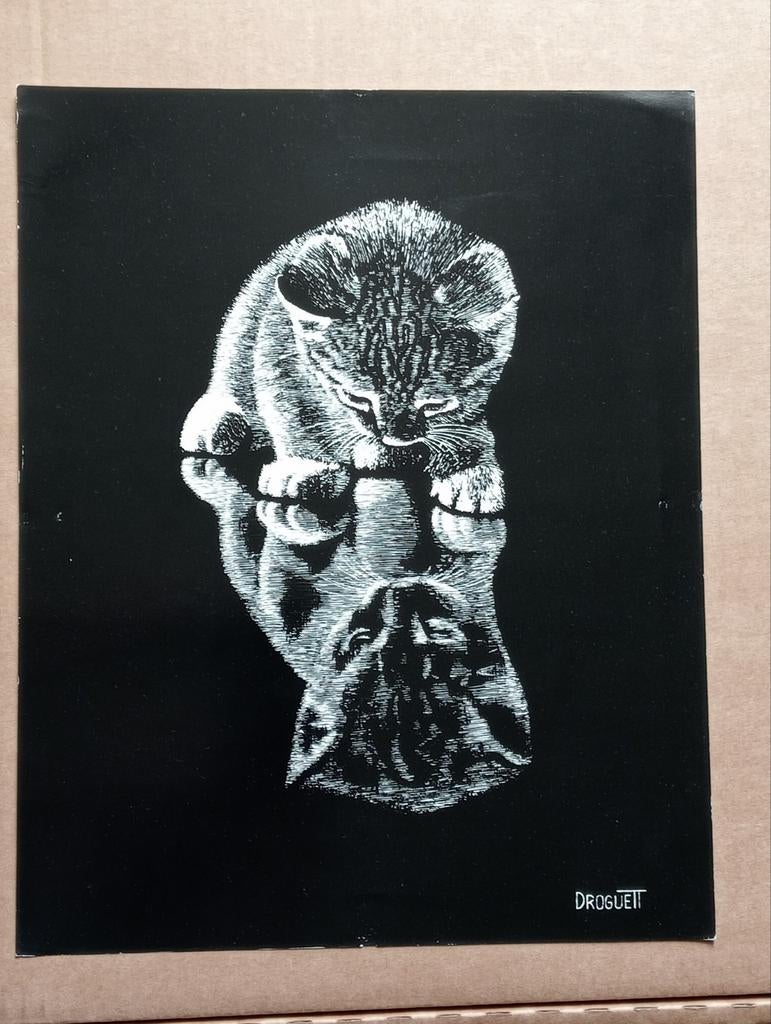 Rudy Droguett 'Reflections' kitten 1976 print, Ophalen of Verzenden