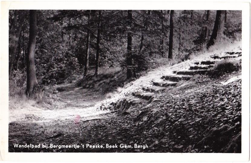 Beek gem Bergh 't Peeske Oude Gelopen Ansichtkaart (B1762, Ophalen of Verzenden, 1920 tot 1940, Gelopen, Gelderland