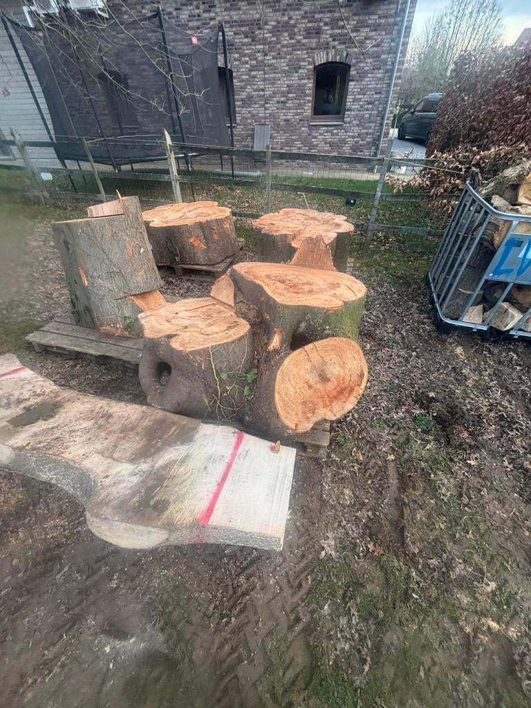 Beuken schijven salon tafel, Tuin en Terras, Haardhout, 6 m³ of meer, Ophalen of Verzenden, Beukenhout, Blokken