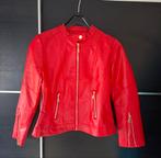 "Leren" jack nieuw!, Ophalen of Verzenden, Nieuw, Maat 38/40 (M), Rood