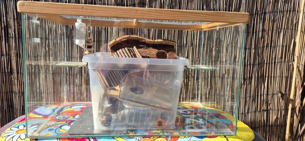 Hamster gerbil muis bak / hok terrarium, Gebruikt, Muis, Hok, 75 tot 110 cm