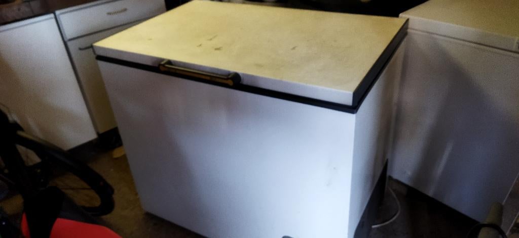 Diepvries, Witgoed en Apparatuur, Koelkasten en IJskasten, 150 tot 200 liter, 60 cm of meer, Ophalen, 85 tot 120 cm