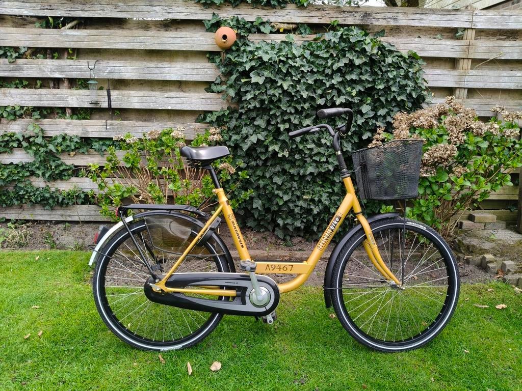 Batavus Personal Bike, Fietsen en Brommers, Fietsen | Dames | Damesfietsen, Ophalen, Terugtraprem, Batavus, 53 tot 56 cm