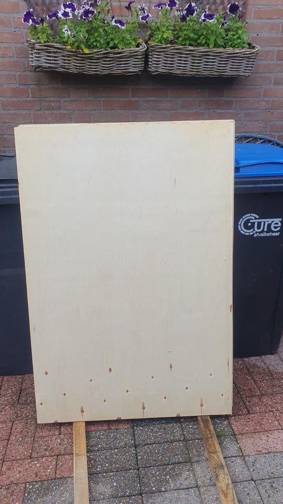 Multiplex platen 1100x850x18mm, Ophalen of Verzenden, Multiplex
