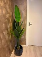 Kunst Planten, Ophalen, Halfschaduw, Minder dan 100 cm