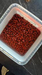 Aquarium planten, Ophalen, Plant(en), Steen of Hout