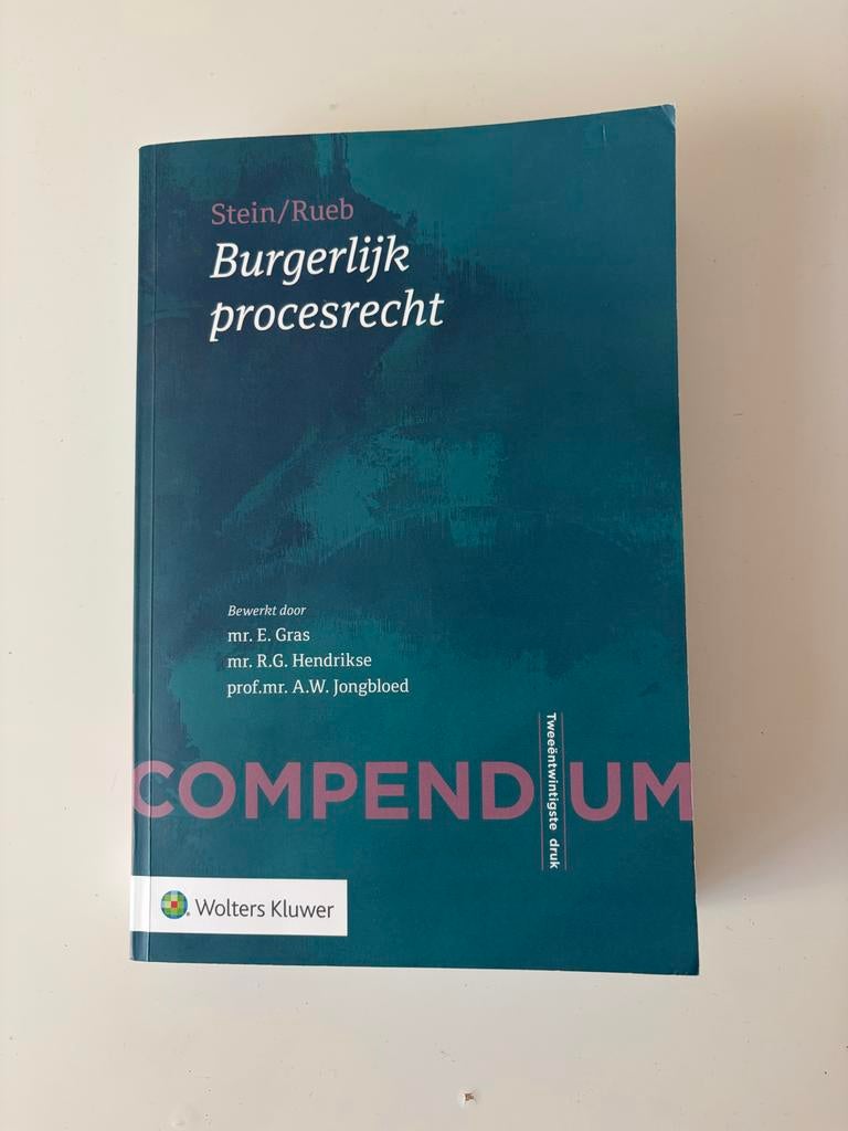 Stein/Rueb Burgerlijk procesrecht - Compendium, Boeken, Ophalen of Verzenden, Zo goed als nieuw, WO