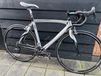 Carbon Pinarello FP Quattro 56, 28 inch, Gebruikt, Carbon, Meer dan 20 versnellingen