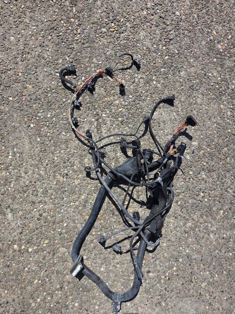 Bmw e39 m54 motor kabelboom, Ophalen of Verzenden, BMW