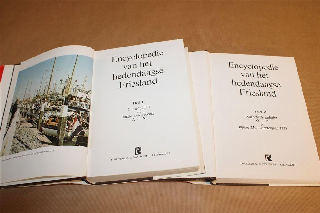 Encyclopedie Friesland — Complete Set 2 Delen, Ophalen of Verzenden, Gelezen