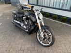 Harley muscle bj 2010 22288 km 5 hd, Particulier, Chopper