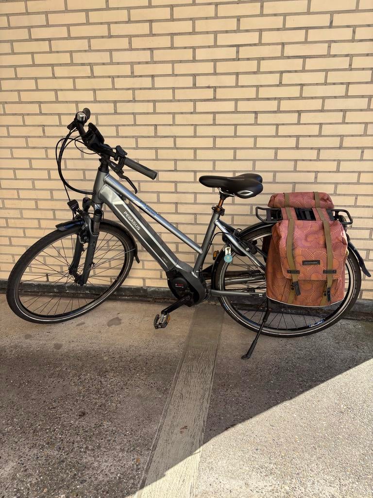 Pegasus Premio EVO NU-E - Framemaat 50 cm, Zo goed als nieuw, 47 tot 51 cm, 50 km per accu of meer, Ophalen