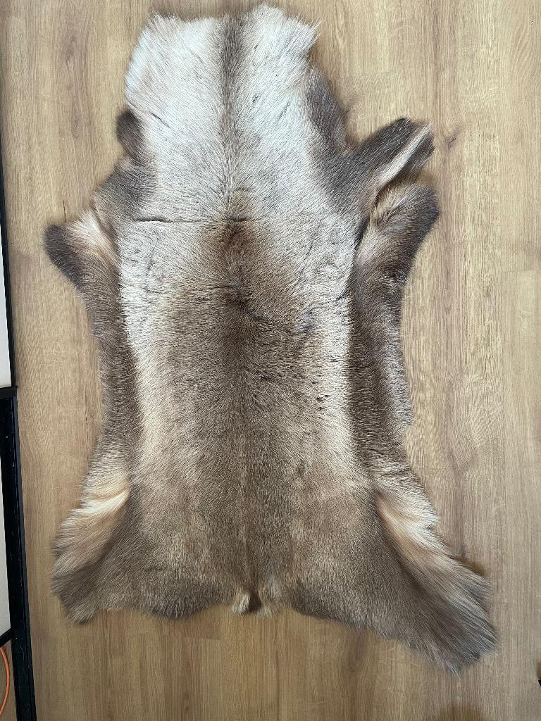 Eland vacht vloerkleed, Ophalen, Beige, Natuurlijk materiaal, Landelijk