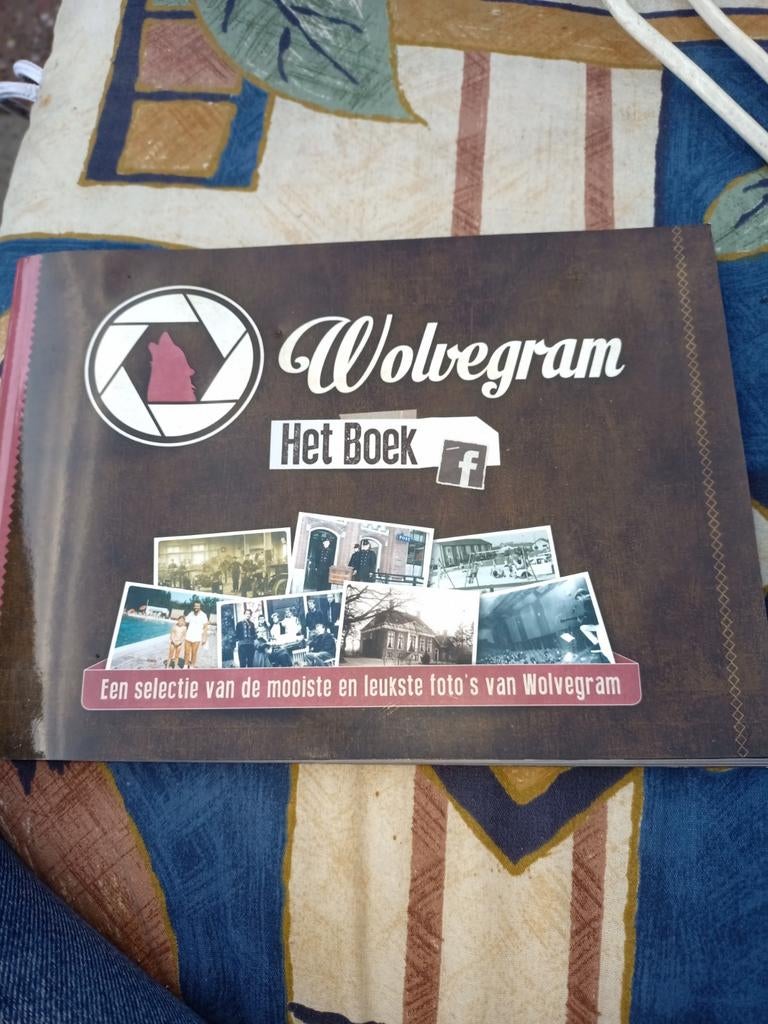 Wolvegram Het Boek, Boeken, Geschiedenis | Stad en Regio, Ophalen of Verzenden