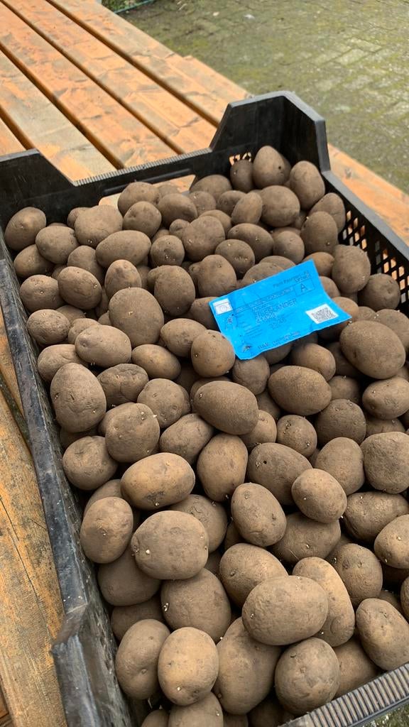 Pootaardappelen frieslander, Ophalen of Verzenden