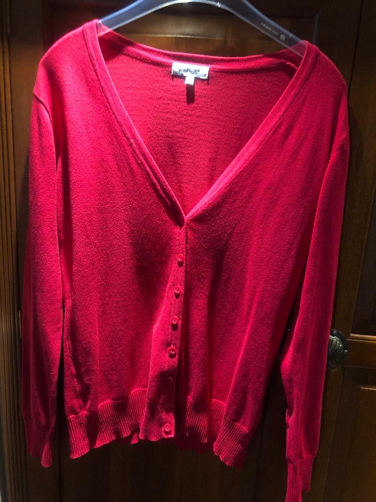 mooi vestje (M), Maat 38/40 (M), Overige kleuren, Zo goed als nieuw, Anni Rolfi