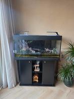 Aquarium met aantal vampierkrabben, Ophalen, Gebruikt, Leeg aquarium