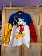 Disneyland paris Euro Disney Spirit Jersey, Ophalen of Verzenden, Overige figuren, Zo goed als nieuw, Kleding of Textiel