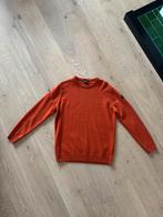 Paul & Shark Trui wol, Ophalen of Verzenden, Zo goed als nieuw, Maat 48/50 (M), Oranje
