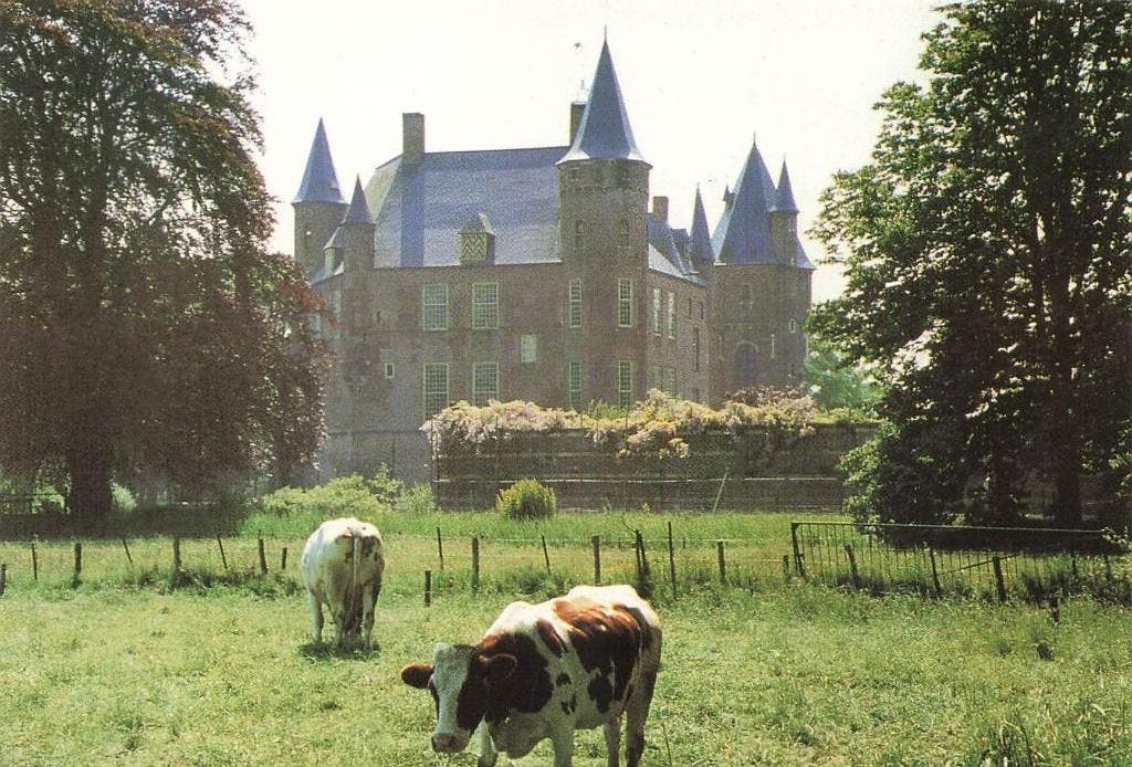 Heeswijk-Dinther, Kasteel Heeswijk, Ophalen of Verzenden, 1980 tot heden, Gelopen, Noord-Brabant