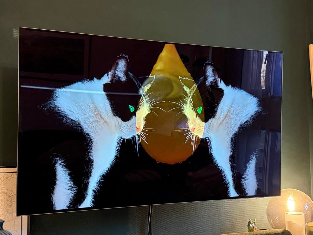 Philips OLED TV 55 inch, Ophalen, Philips, Zo goed als nieuw, 100 cm of meer