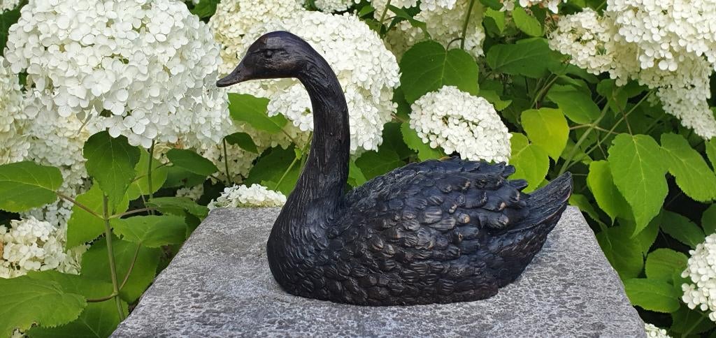 ZWAAN / bronzen tuinbeeld, Tuin en Terras, Tuinbeelden, Dierenbeeld, Nieuw, Info@huisentuindecoratiemarie.nl, Huis en tuin decoratie marie