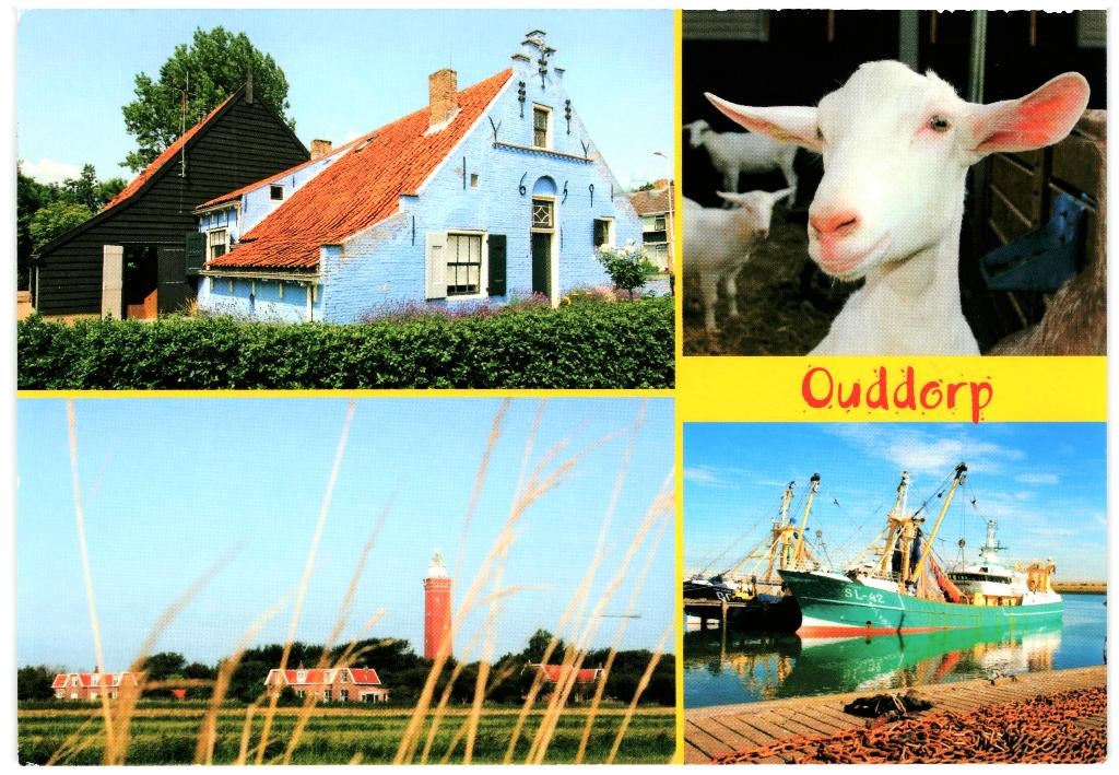 1366 Ouddorp ZH 80+ Gelopen met postzegel