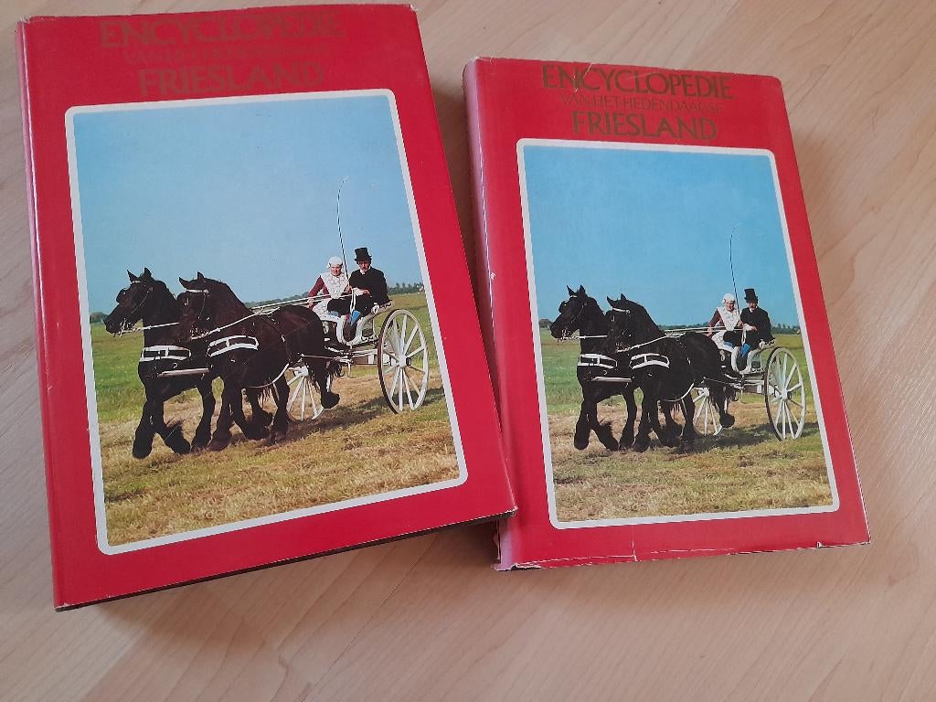 ENCYCLOPEDIE VAN HET HEDENDAAGSE FRIESLAND 2 DELEN, Ophalen of Verzenden, Gelezen