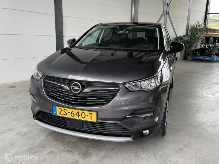 Opel Grandland X 1.2 Turbo Business Executive, Auto's, Opel, Bedrijf, Te koop, Grandland X, ABS, Achteruitrijcamera, Airbags, Airconditioning