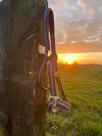 Halster maat cob, Dieren en Toebehoren, Ophalen of Verzenden, Gebruikt, Overige soorten