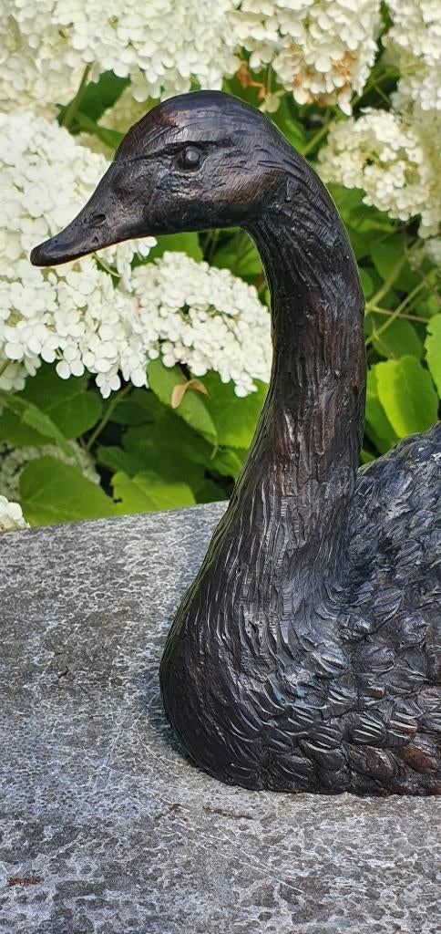 ZWAAN / bronzen tuinbeeld, Tuin en Terras, Tuinbeelden, Dierenbeeld, Nieuw, Info@huisentuindecoratiemarie.nl, Huis en tuin decoratie marie