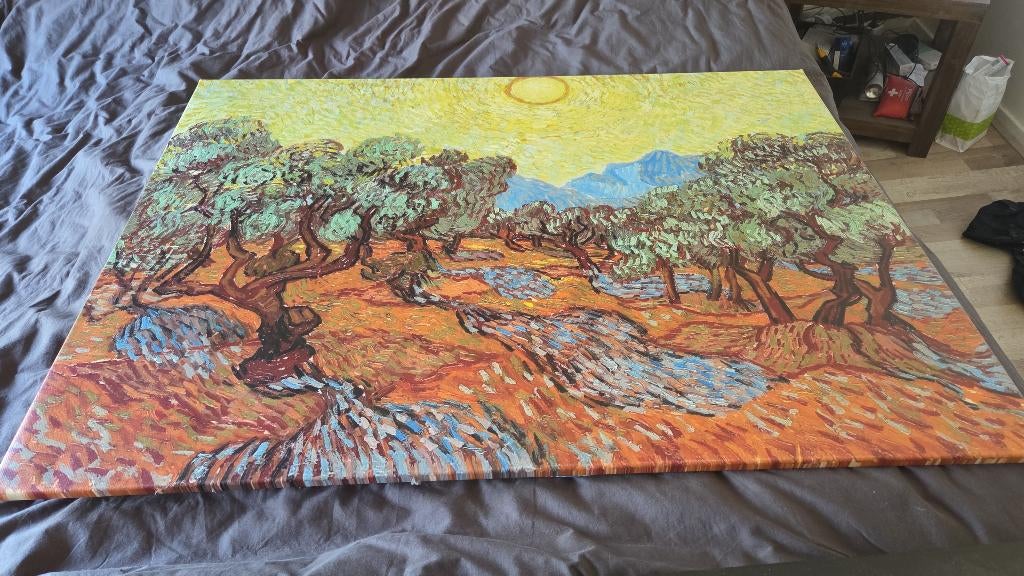 Canvas schilderij, Ophalen, Zo goed als nieuw, Schilderij, 75 tot 100 cm