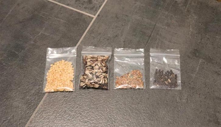 Zaden moestuin Primabella - Ring of fire - Salie - Echinacea, Tuin en Terras, Bloembollen en Zaden, Zaad, Voorjaar, Volle zon