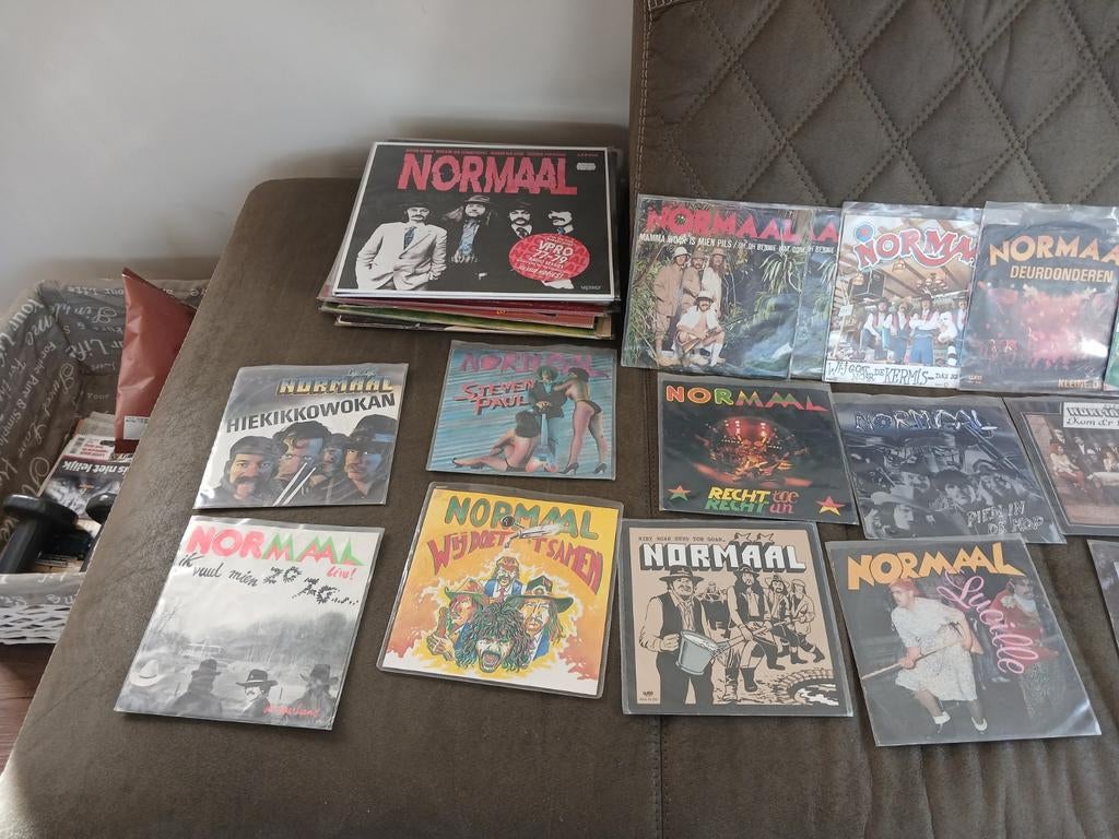 Normaal, Ophalen of Verzenden, Gebruikt, 12 inch