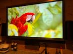 75” led scherm. 4k. Digiboard., 120 Hz, 100 cm of meer, Ophalen, Overige merken