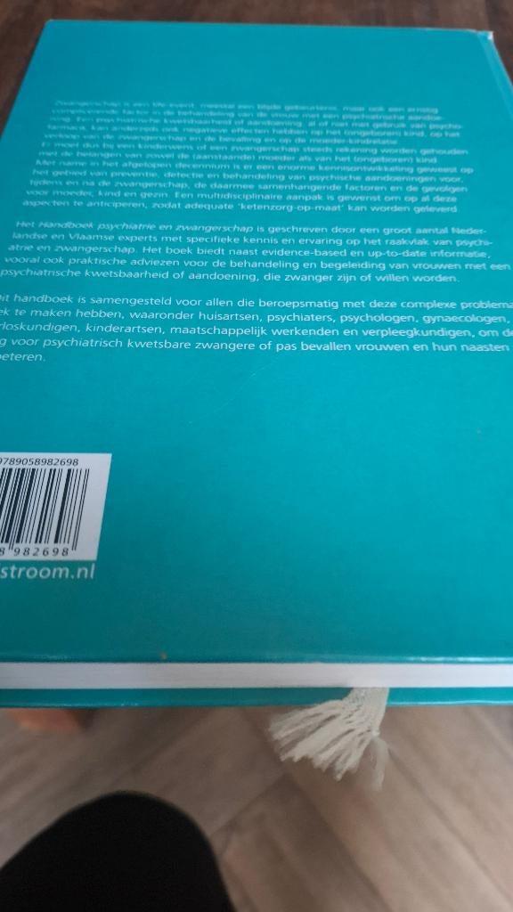 Handboek psychiatrie en zwangerschap, Ophalen of Verzenden, Gelezen, Overige onderwerpen