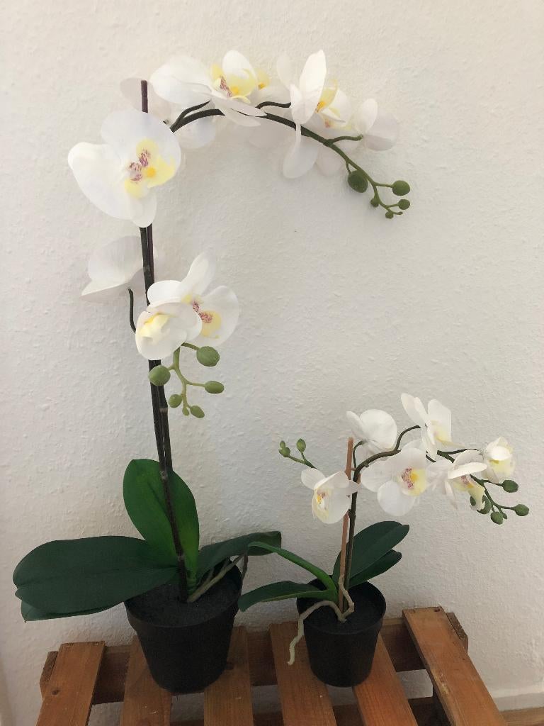Mooie kunst plant Orchidee, Ophalen of Verzenden, Zo goed als nieuw