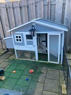 3 lieve konijnen met toebehoren, 2 dames, 1 ram gecastereerd, Dieren en Toebehoren, Konijnen, Mannelijk, Dwerg, 0 tot 2 jaar