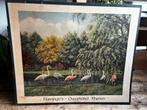 Antieke schoolplaat "Flamingo's - Ouwehand Rhenen" beschadig, Antiek en Kunst, Antiek | Schoolplaten, Ophalen, Natuur en Biologie