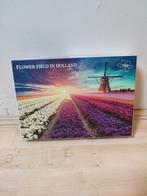 Puzzel Flower Field of Holland, Ophalen of Verzenden, 500 t/m 1500 stukjes, Zo goed als nieuw, Legpuzzel