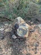 Gratis boomstronk., Minder dan 3 m³, Ophalen