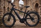 Riese & Müller E-Bike  GT, Riese & Müller, Ophalen of Verzenden, Zo goed als nieuw, 51 tot 55 cm
